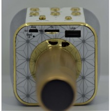 Бездротовий мікрофон караоке ws-1688 Wster Блютуз Bluetooth динаміком Gold Жовтий