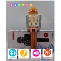 Бездротовий мікрофон караоке ws-1688 Wster Блютуз Bluetooth динаміком Rose Gold рожевий