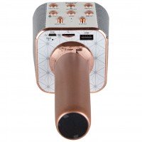 Бездротовий мікрофон караоке ws-1688 Wster Блютуз Bluetooth динаміком Rose Gold рожевий