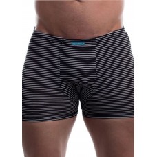 Чоловічі труси шорти боксери Tezavrator  МШ 950225 р.48 серый