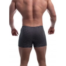 Чоловічі труси шорти боксери Tezavrator  МШ 950225 р.48 серый