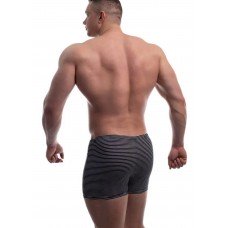 Чоловічі труси шорти боксери Tezavrator  МШ 950225 р.48 серый