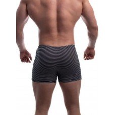Чоловічі труси шорти боксери Tezavrator  МШ 950225 р.52 серый